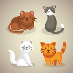 Hand drawn cute kitten pack