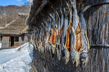 Fisherman's huts (Ainu's huts)