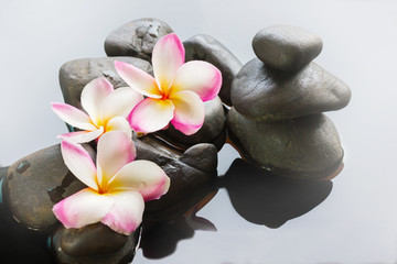 Obraz na płótnie Canvas Meditaion mood flowers frangipani or plumeria on pebble on water