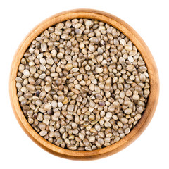Hemp seeds in a wooden bowl on white background. Unshelled edible raw hempseeds of Cannabis sativa. Isolated close up macro photo from above.