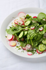 Green salad with radish and sesame seeds