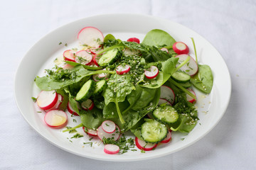 Fresh vegetables salad with spinach leaves