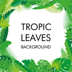 Tropical Leaves background, isolate vector. Abstract Illustration with differrent Tropical foliage with place for your text.. Vector illustration. Eps 10.