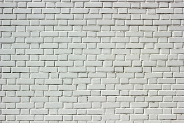 White brick wall background.