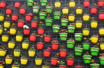Fototapeta premium flower pots on the wall