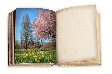 Altes Buch, Frühlingslandschaft und leere Seite