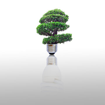 Energy saving lamp of tree with shadow on white background. Concept for saving energy, global warming, Earth Day, Go Green and save the world.