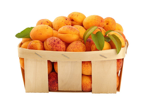 Fresh ripe apricots in wooden basket over white