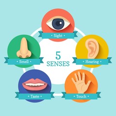 five senses icons