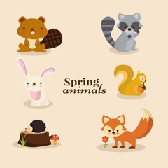 Collection of cute animals