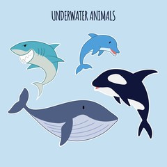 Sea Life Animals