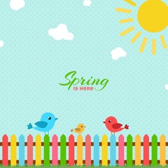 Spring background with birds and fence