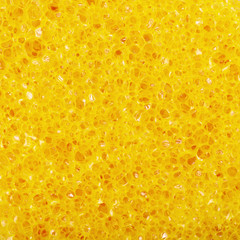 Close-up texture of a sponge