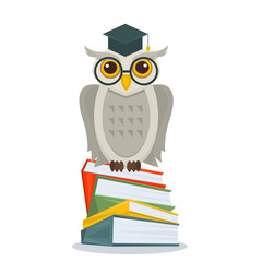Owl with glasses and academic hat sitting on books stack. Owl on books isolated. Education concept with owl. Vector illustration