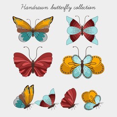 Hand Drawn Butterfly Collection