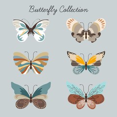 Fototapeta na wymiar Butterfly Collection