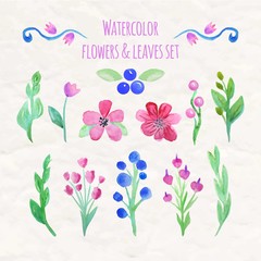 Watercolor variety of flowers and leaves