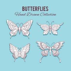 Hand drawn butterflies set 