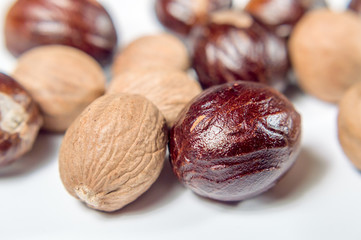 Nutmeg close up