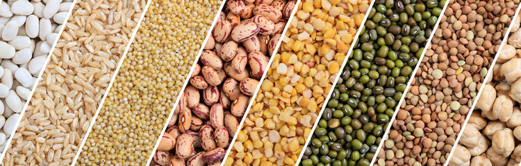 Various kinds of rice and legumes collage