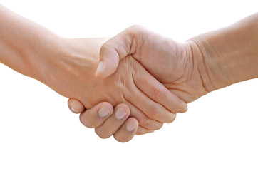 shake hand