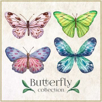 Watercolor butterflies with abstract shapes wings