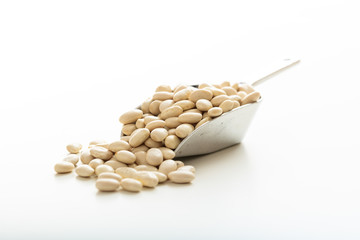 Raw haricot beans in a metallic scoop