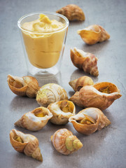 Meeresschnecken © rdnzl