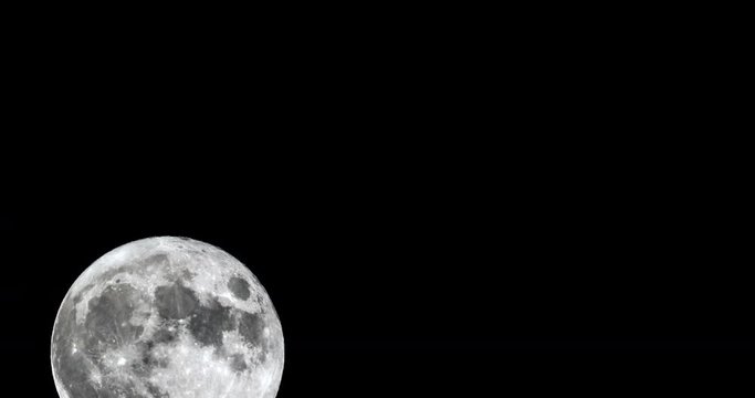The full Moon is seen isolated on a black background with the silhouette of a dead mossy tree in the foreground. 4k movement timelapse