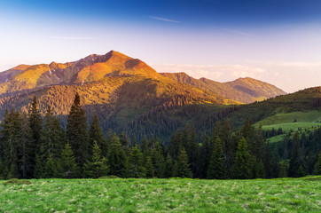 Summer landscape in the mountains with a beautiful sunrise