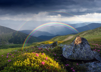 Zomerlandschap met regenboog en bloemen in de bergen