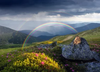 Wall murals Summer Summer landscape with rainbow and flowers in the mountains