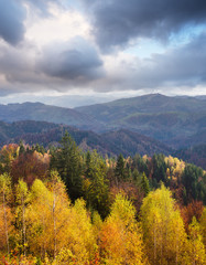 Autumn Landscape with birch forest in the mountains © Oleksandr Kotenko