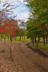 Colours of autumn