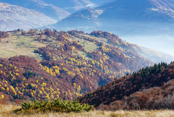 Obraz premium Morning fog in autumn Carpathian.