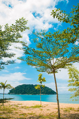 Tropical beach with island on background, Malaysia, vertical