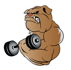 bodybuilding dog - 117829739