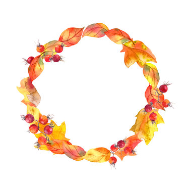 Red leaves and berries. Autumn wreath. Watercolor circle frame