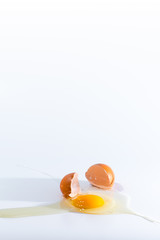 Broken egg with albumen and yolk.