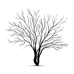 Tree silhouette isolated on white background