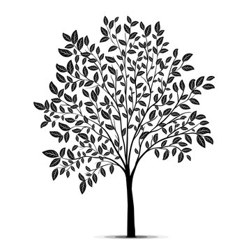 Tree with leaves silhouette vector