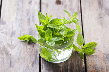Green fresh mint on the wooden table