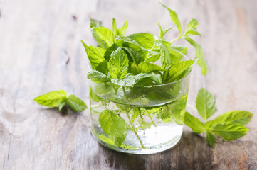 Green fresh mint on the wooden table