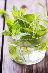 Green fresh mint on the wooden table