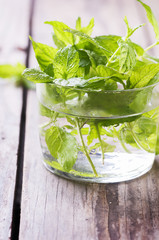 Green fresh mint on the wooden table