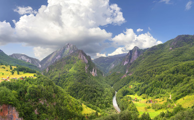 Tara river Canyon. Montenegro.