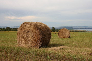 Hay bales on the field 2.