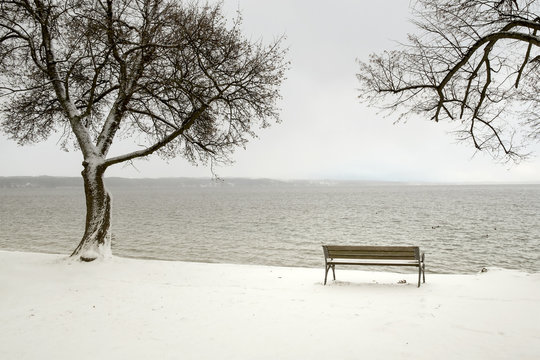 bench in a snowy winter senery