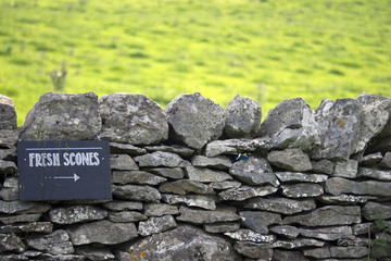 Sign on Stone Wall Pointing to Fresh Scones