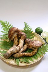 松茸